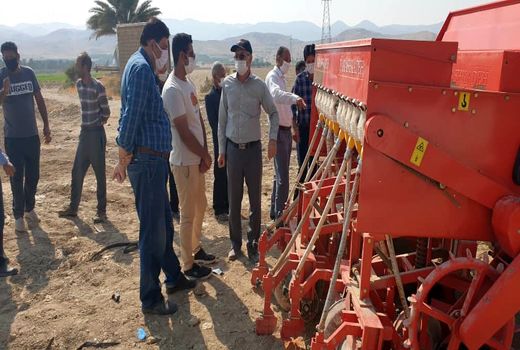 آغاز کاشت گندم با دستگاه جوی و پشته کار در قیروکارزین