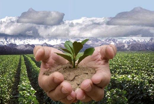 اقتصادی تر شدن محصولات کشاورزی  و دامپروری با گذر از مرحله تولید سنتی به مدرن 