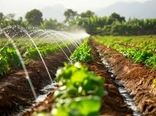 جهش عمرانی در کشاورزی بوشهر/ توسعه آبیاری نوین و احیای قنوات در دستور کار