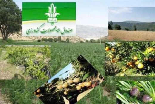 بیمه، چتر حمایتی برای کشاورزان
