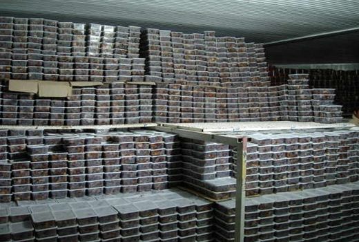 کازرون پیشگام در صنایع سردخانه ای خرما 