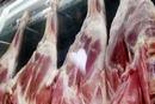 تولید سالانه 9 تن گوشت قرمز در آمل/توزیع 12 هزار تنی نهاده دامی