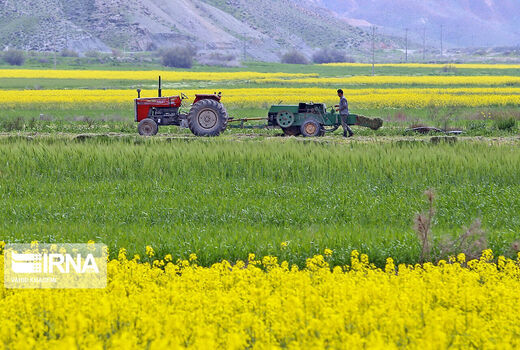 ۱۵ طرح کشاورزی در سقز به بهره‌برداری می‌رسد
