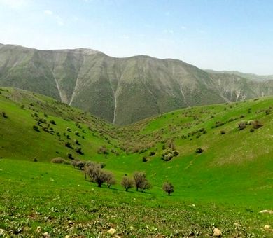 تمام مراتع کشور باید طرح مرتعداری داشته باشند