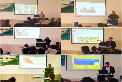 برگزاری هفته انتقال یافته های محصول کلزا در رامهرمز