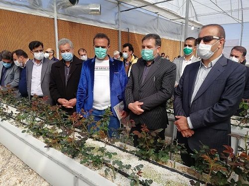 توسعه گلخانه‌ها گامی اثرگذار در راستای جهش تولید