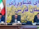 افزایش 5 برابری کشت قراردادی گندم در فارس