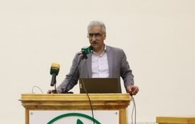 خسارت علف‌های هرز در برخی مزارع غلات به بیش از ۵۰ درصد رسید