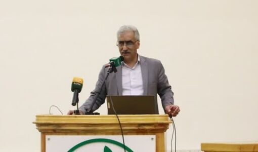 خسارت علف‌های هرز در برخی مزارع غلات به بیش از ۵۰ درصد رسید