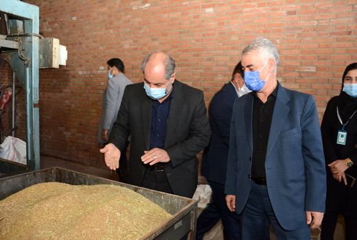 راه‌اندازی دستگاه سس گیری بذر یونجه در انبار 30 هزار تنی کود در شهرستان تبریز  