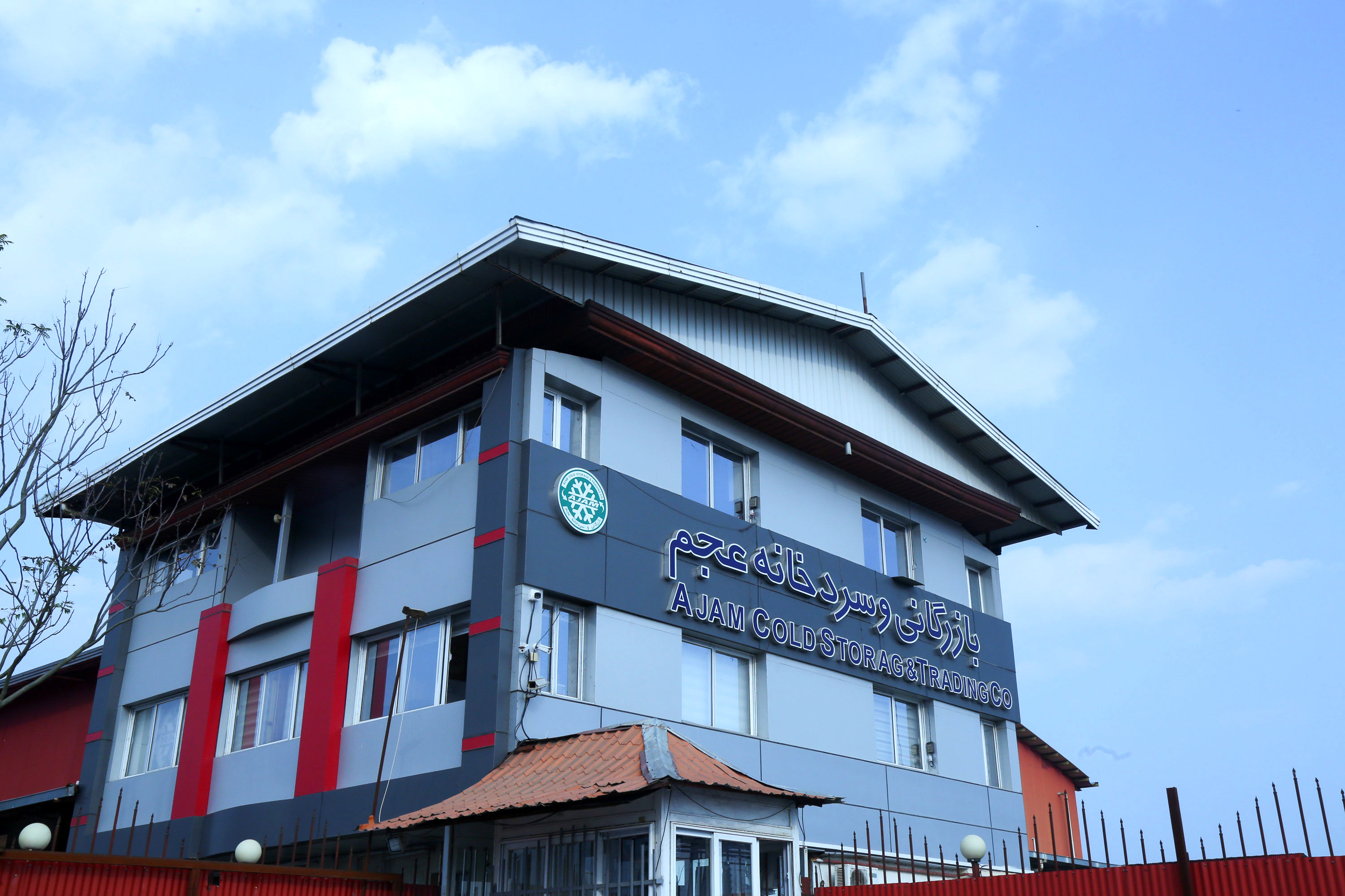  میوه ای شگفت انگیز به نام کیوی 