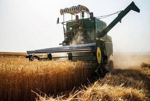 بیش از 36 هزار تن گندم در کردستان خرید تضمینی شد