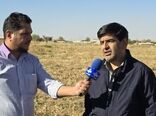 اجرای الگوی کشت و سیستم‌های نوین آبیاری برای تضمین تولید و حفظ منابع آب در دشت شهرکرد