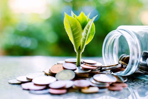 400 هزار میلیارد ریال تامین مالی بخش کشاورزی در سه ماه/ ابزارهای نوین مالی کارساز شدند