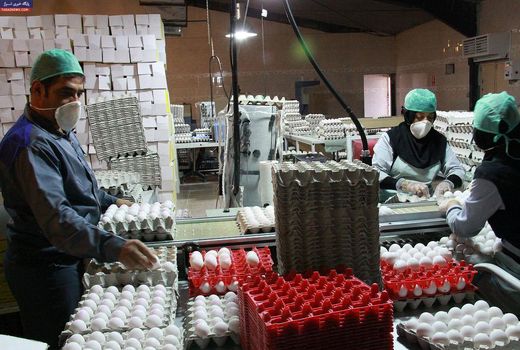 قزوین، استان آرام و موفق نوروز امسال بود