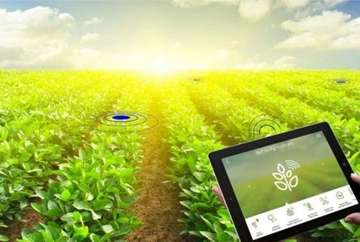 تاثیر مثبت استارت آپ‌های کشاورزی بر تولید و عرضه محصولات کشاورزی