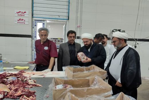  بازدید میدانی مسئول حوزه نمایندگی ولی‌فقیه از زنجیره تولید گوشت در شهرستان ملکان