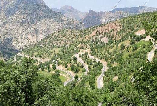 ایجاد 11 ذخیره‌گاه‌ جنگلی در چهارمحال و  بختیاری