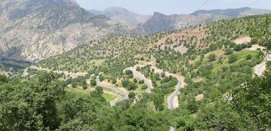 ایجاد 11 ذخیره‌گاه‌ جنگلی در چهارمحال و  بختیاری