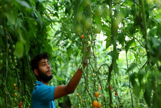 افزایش بودجه طرح مشترک آمریکا و امارات برای کشاورزی سازگار با محیط زیست