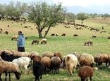 نیازمند نماد تجاری خاص برای پرورش دام سبک هستند