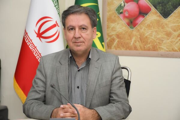 محدودیت ۵۰ نیروی کار در تسهیلات حفظ اشتغال حذف شد/ امکان حمایت از همه کارکنان بیمه‌شده