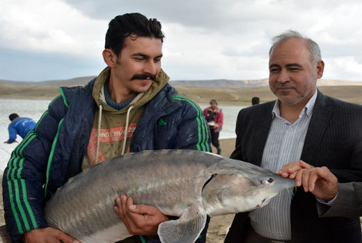 پتانسیل تولید انواع ماهیان پرورشی به ظرفیت 6 هزار تن در سال در حاشیه رودخانه ارس