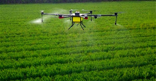 کشاورزان برای سمپاشی مزارع از پهپاد استفاده نکنند