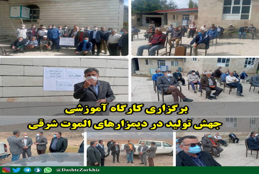 کارگاه‌ آموزشی جهش تولید در دیمزارهای الموت شرقی برگزار شد