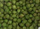 استهبان میزبان بازار فصلی و منحصربه‌فرد بَرانجیر