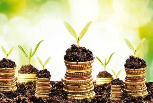 پرداخت ۵۴ میلیارد تومان تسهیلات به طرح‌های کشاورزی در خراسان جنوبی 