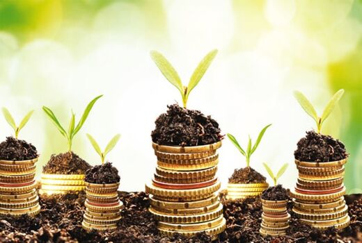 پرداخت ۵۴ میلیارد تومان تسهیلات به طرح‌های کشاورزی در خراسان جنوبی 