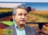 75 درصد تولیدات بخش کشاورزی در حوزه زراعت است 