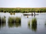 تالاب‌ها سهمی ۲۰ درصدی در معیشت جوامع محلی و پروتئین حیوانی کشور دارند