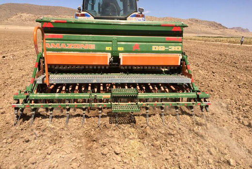 کشت کلزا در 60 هکتار از اراضی کشاورزی شهرستان لردگان