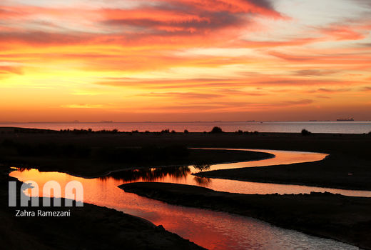 جزیره هزار رنگ 