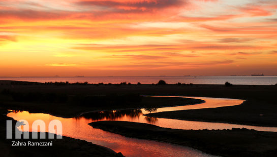 جزیره هزار رنگ 