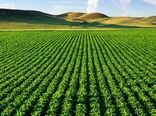 حفظ و صیانت از اراضی کشاورزی در راستای تأمین امنیت غذایی جامعه
