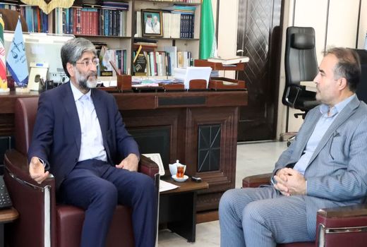 لزوم جلوگیری از تغییر کاربری و تفکیک اراضی / نزدیک به 89 درصد اراضی کشاورزی تثبیت مالکیت شده است