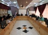 برگزاری دوازدهمین جلسه کمیته راهبردی فناوری نانو کشاورزی استان البرز