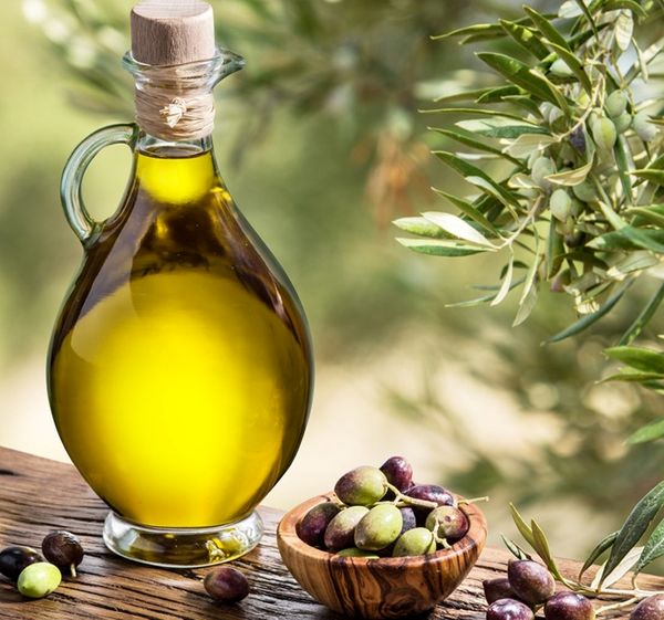 همت کشاورزان وصنایع مرتبط در جهش تولید روغن زیتون