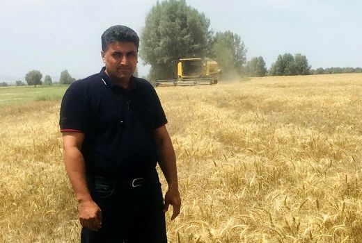 ارتقا منطقه جنوب کرمان درزمینه کنترل کاهش ضایعات برداشت غلات از منطقه زرد به سبز