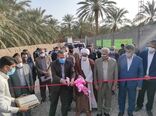 دو طرح کشاورزی شهرستان بم در ایام الله دهه فجر به بهره برداری رسید