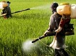 سطح مبارزه بیولوژیک ۱۹ درصد رشد کرد/ دیپلماسی غذایی و امنیت صادرات ایران
