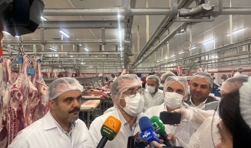  بیماری‌های دامی در یک سال اخیر ۳۳ تا ۵۵ درصد کاهش یافته است/تداوم نظارت‌های دامپزشکی با وجود تسهیلات وارداتی 