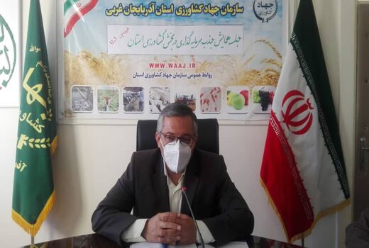 فرصت های سرمایه گذاری و نیازهای فناورانه جدید در بخش کشاورزی برای توسعه تولید دانش بنیان در استان شناسایی شود 