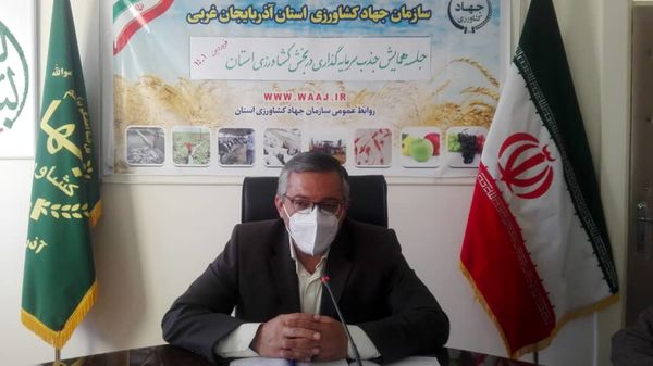 فرصت های سرمایه گذاری و نیازهای فناورانه جدید در بخش کشاورزی برای توسعه تولید دانش بنیان در استان شناسایی شود 