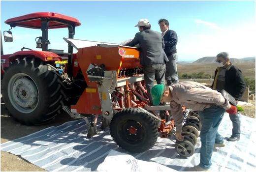 اجرای طرح انتخاب مشارکتی گندم دیم (PVS) در شهرستان هوراند