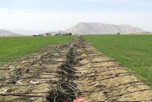 بیست طرح آب و خاک شهرستان ارزوئیه در هفته جهاد کشاورزی به بهره برداری می رسد