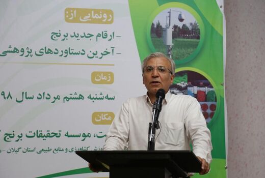 ارتقای تولید و پایداری برنج با زنجیره تولید امکان پذیر است
